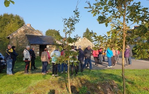 Marche à Port Mulon Nort sur Erdre 